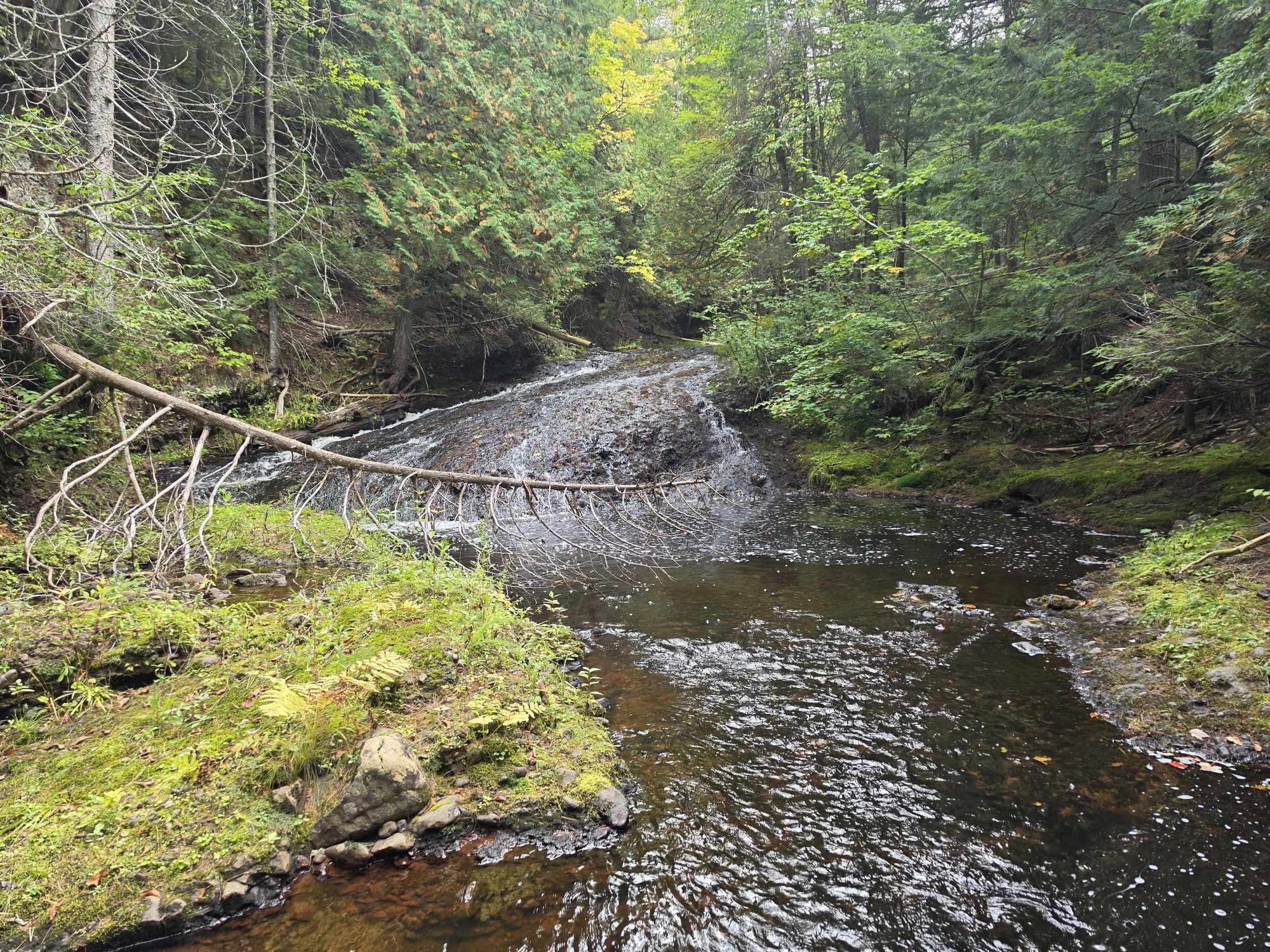 Lower Penn Falls on the East Branch Firesteel River near Lake Mine, Ontonagon County, in Michigan's Western Upper Peninsula